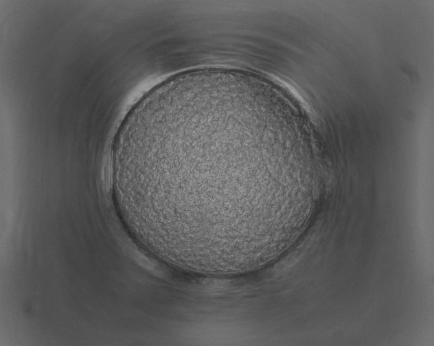 X0000116581371200912241646