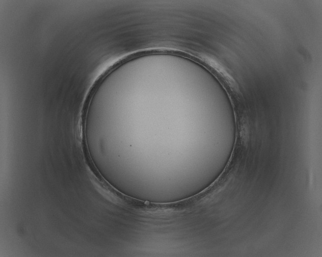 X0000116581372200912241646