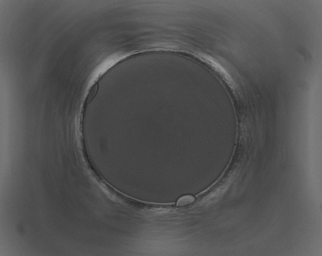 X0000116581373200912241646