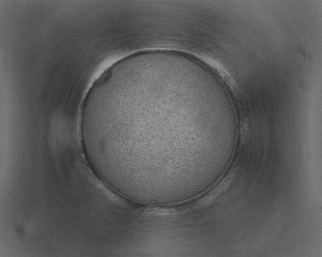 X0000116581374200912241646