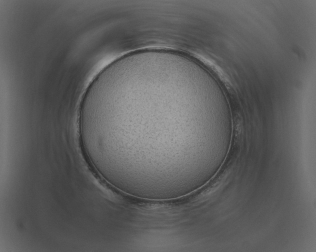 X0000116581375200912241646