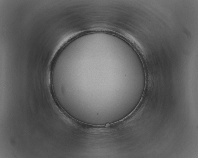 X0000116581376200912241646