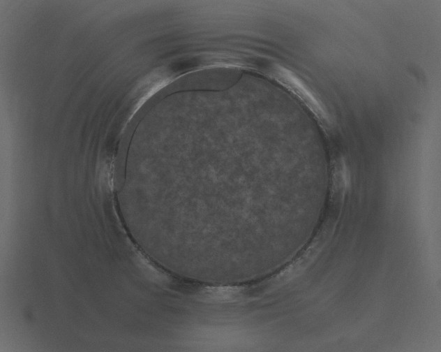 X0000116581377200912241646