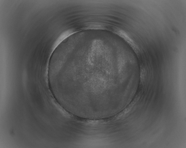 X0000116581378200912241646