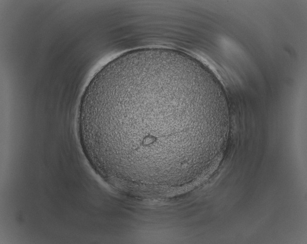 X0000116581379200912241646