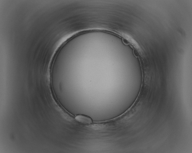 X0000116581380200912241646