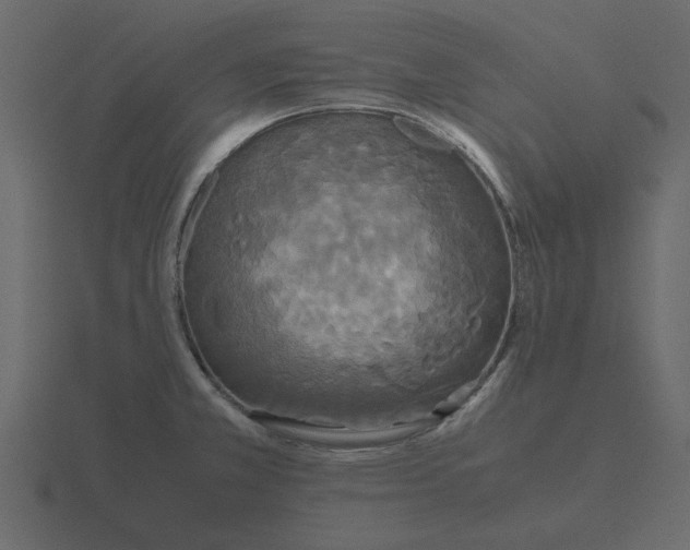 X0000116581381200912241646