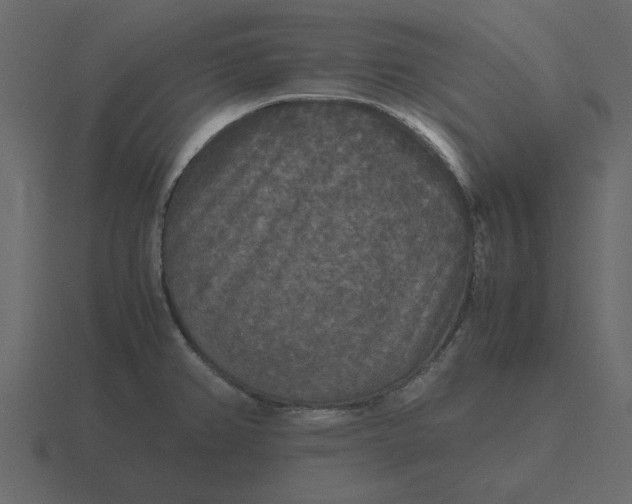 X0000116581382200912241646