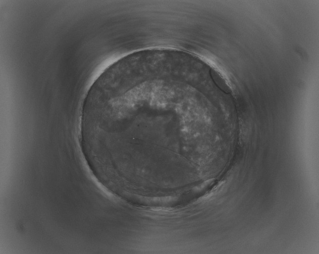 X0000116581383200912241646