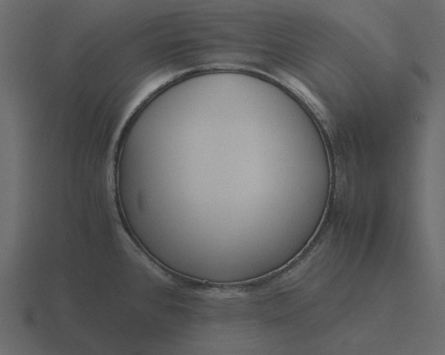 X0000116581384200912241646