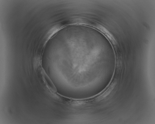 X0000116581385200912241646