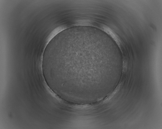 X0000116581386200912241646