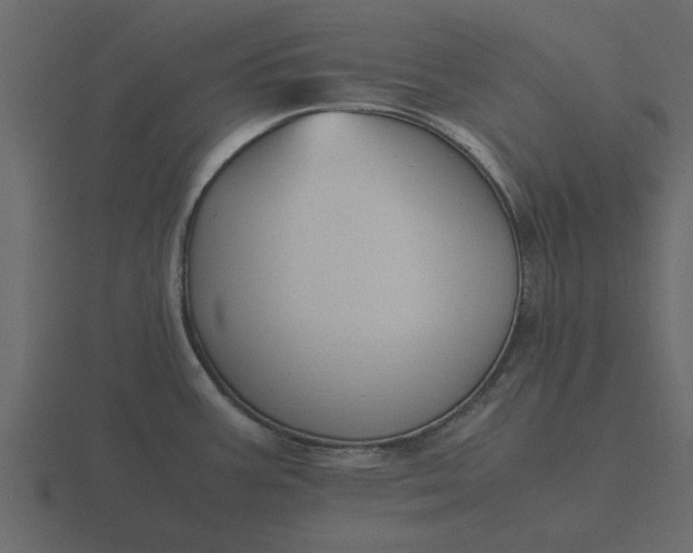 X0000116581387200912241646