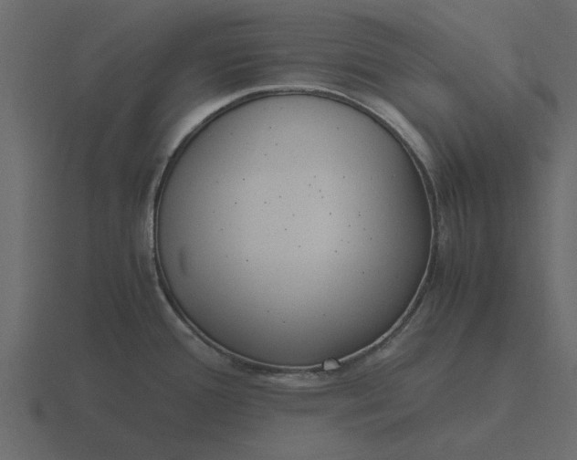 X0000116581388200912241646