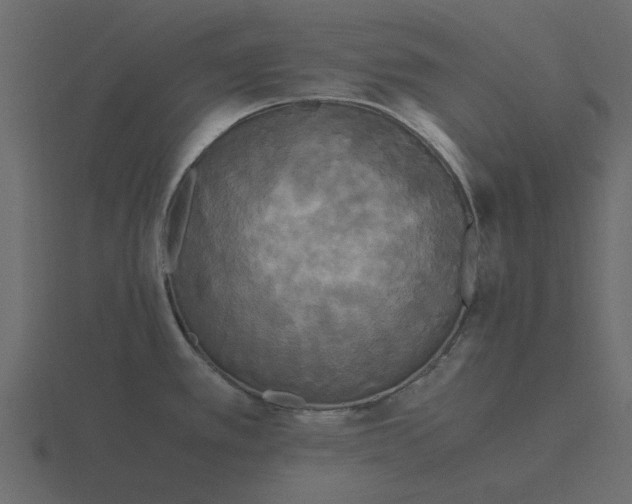 X0000116581389200912241646