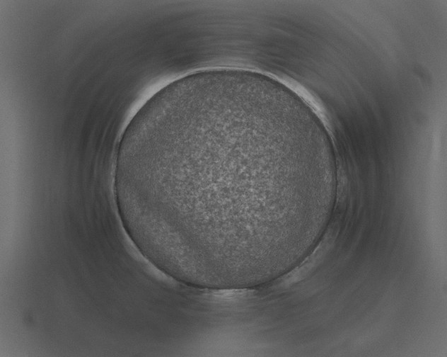 X0000116581390200912241646