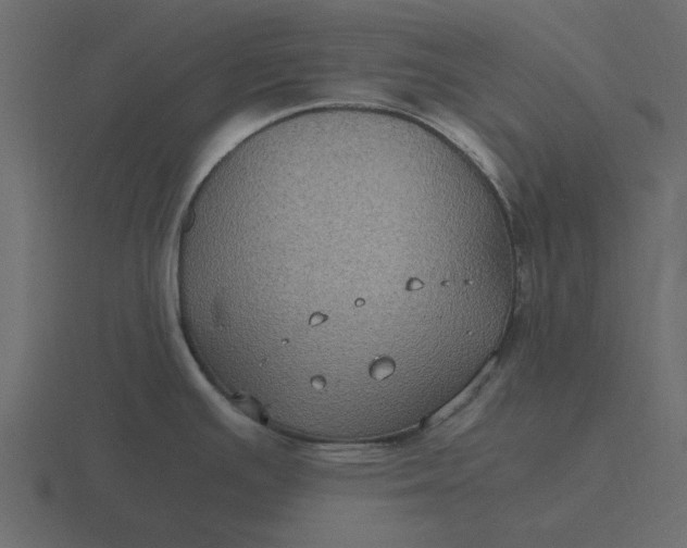 X0000116581391200912241645