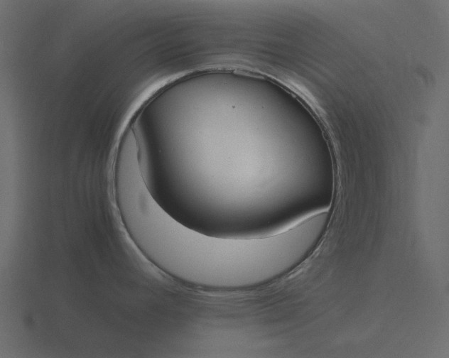 X0000116581392200912241645