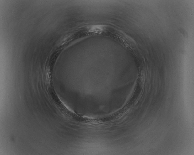 X0000116581394200912241645