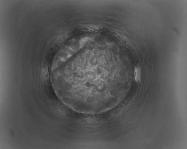 X0000116581395200912241645