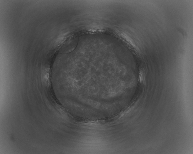 X0000116581396200912241645