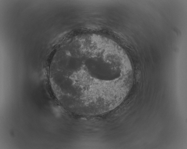 X0000116581397200912241645