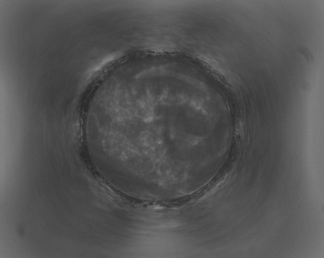 X0000116581398200912241645