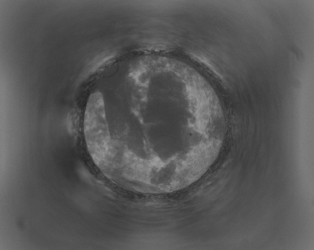 X0000116581399200912241645