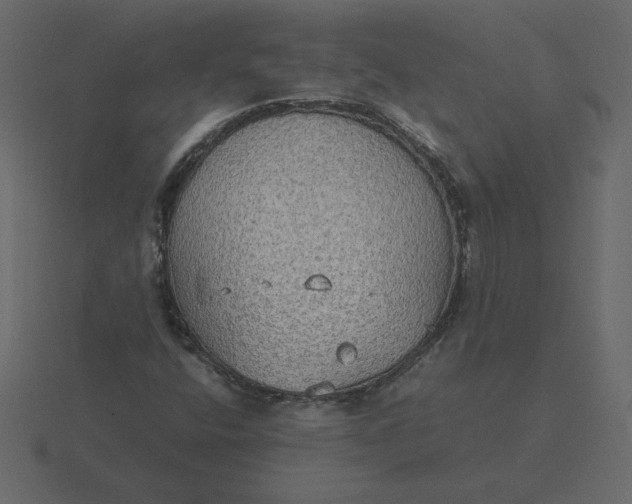 X0000116581400200912241645