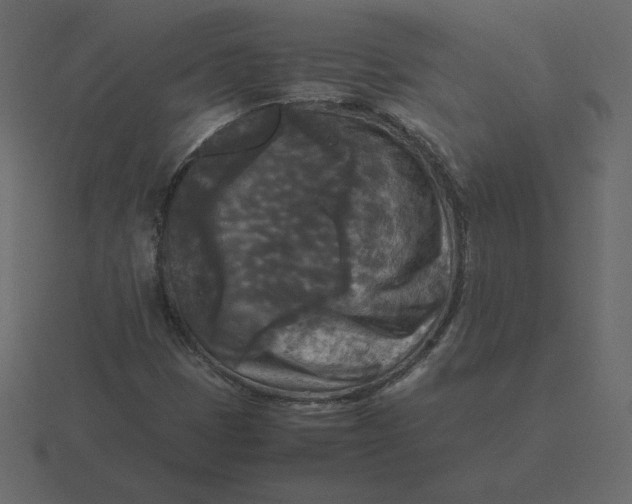 X0000116581401200912241645