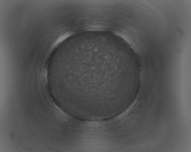 X0000116581402200912241645