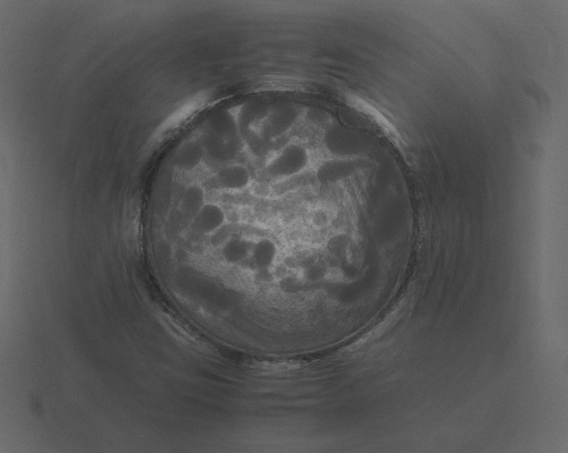 X0000116581403200912241645