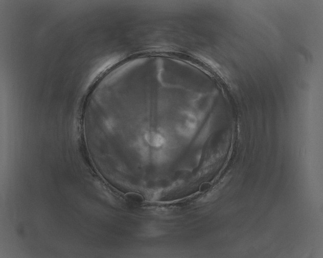 X0000116581405200912241645