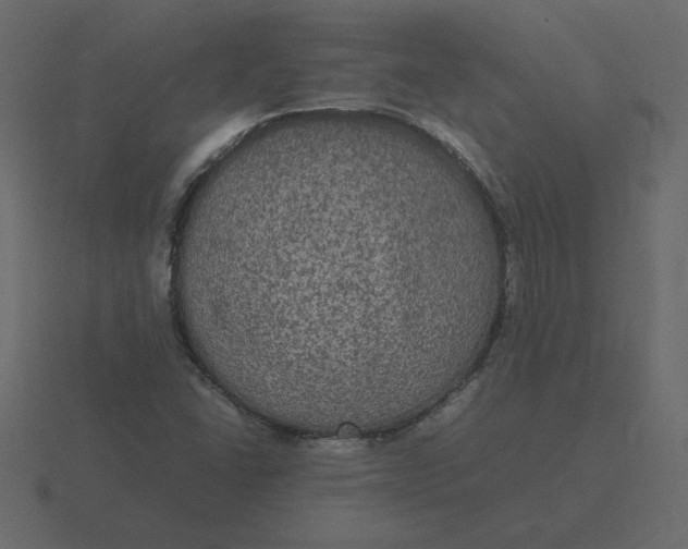 X0000116581406200912241645