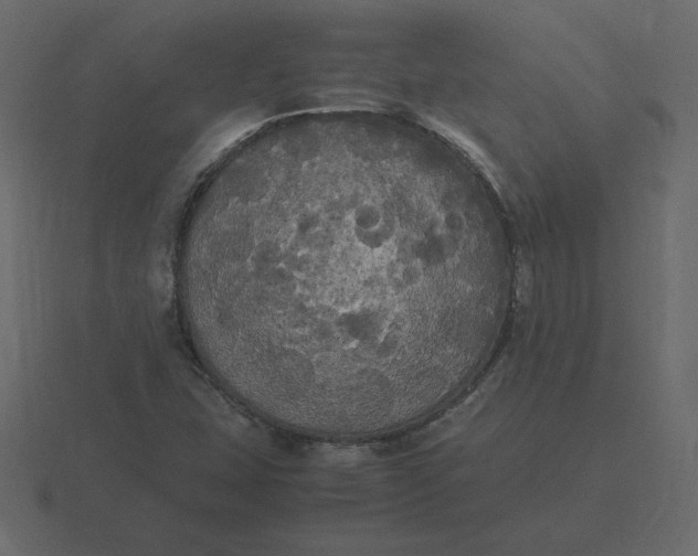 X0000116581407200912241645