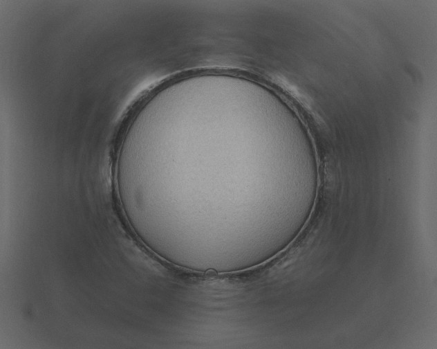 X0000116581408200912241645