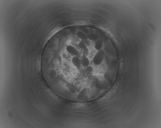 X0000116581409200912241645