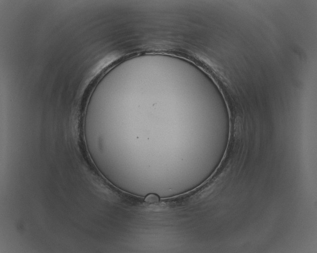 X0000116581410200912241645