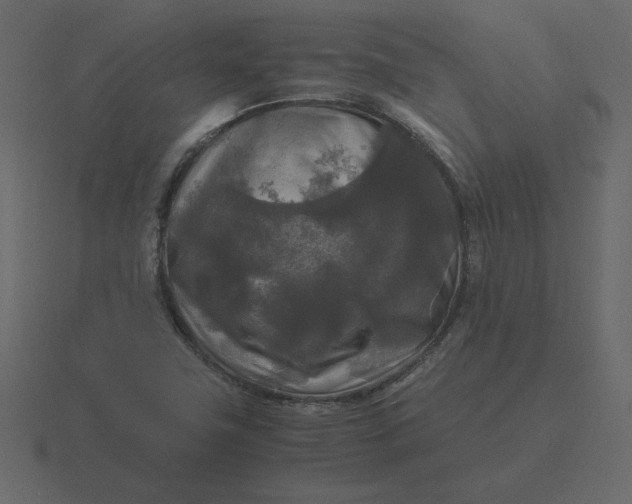 X0000116581411200912241645