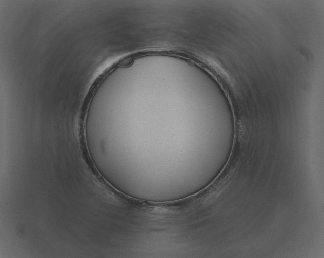 X0000116581412200912241645