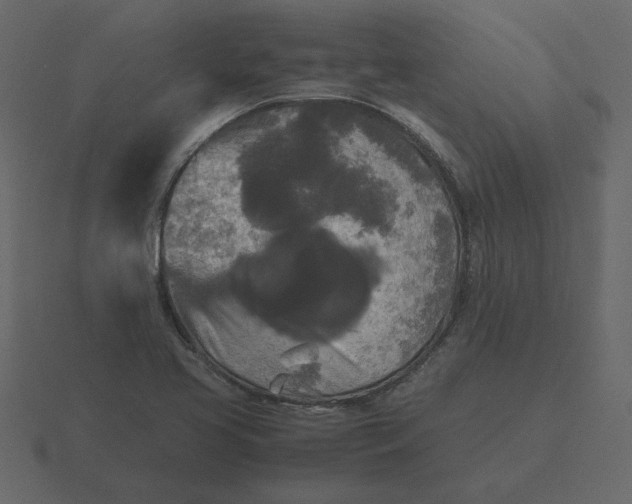 X0000116581413200912241645