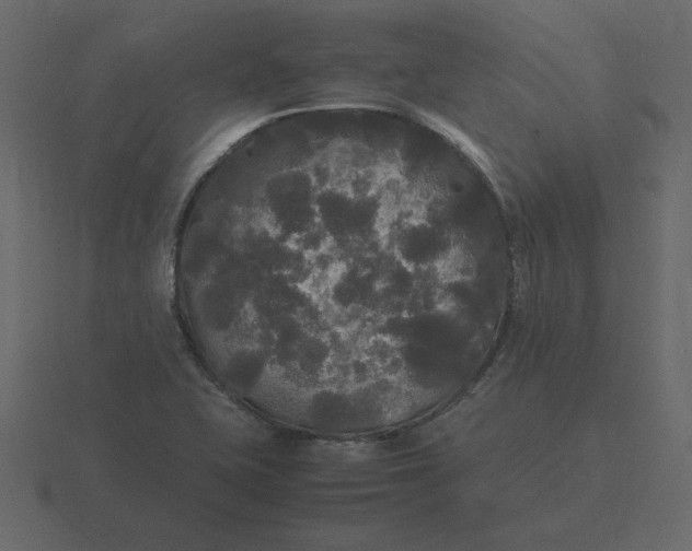 X0000116581415200912241645