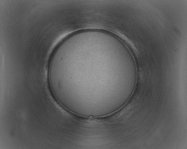 X0000116581416200912241645