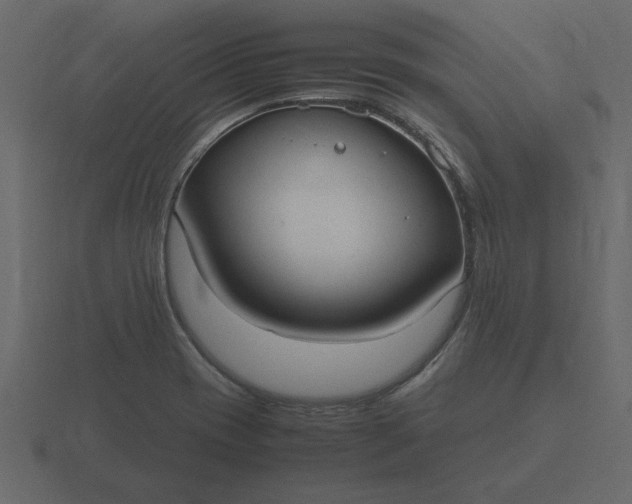 X0000116581417200912241645