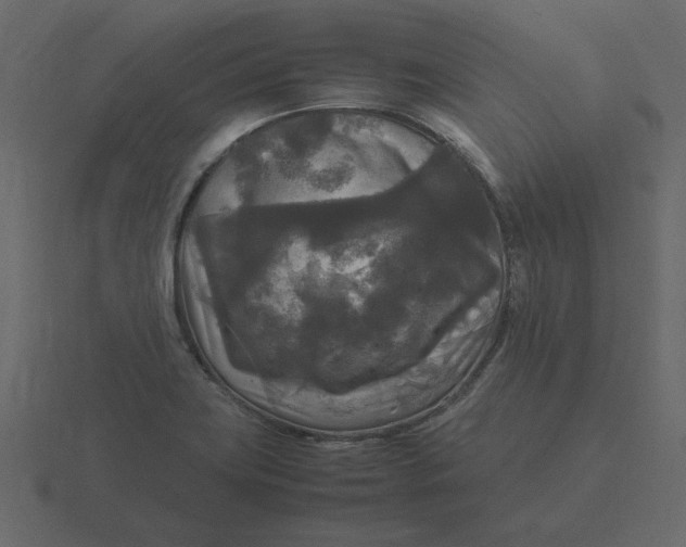 X0000116581419200912241645