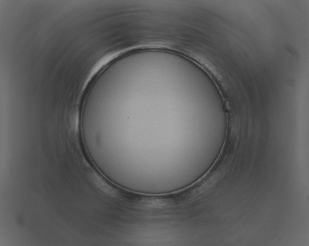 X0000116581420200912241645