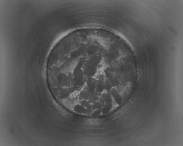 X0000116581421200912241645