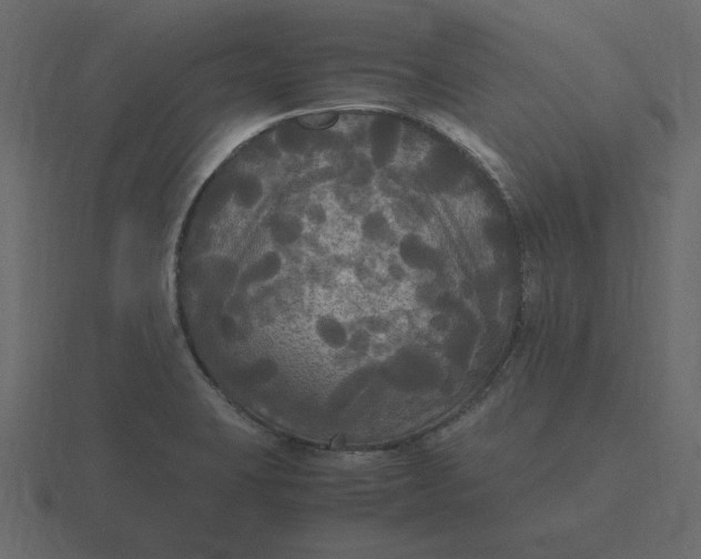 X0000116581423200912241645