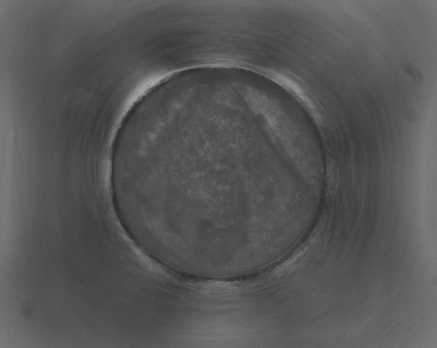 X0000116581424200912241645