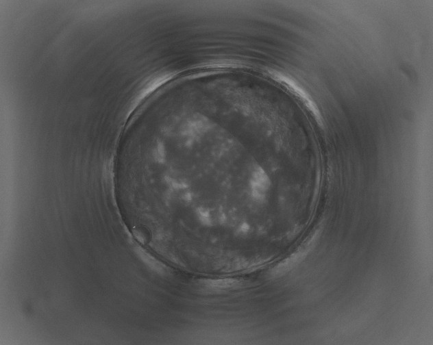 X0000116581425200912241645